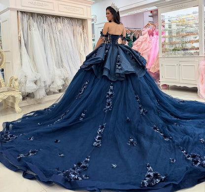 Vestidos de quinceañera con hombros descubiertos, tul princesa, apliques, vestidos de quinceañera HE530