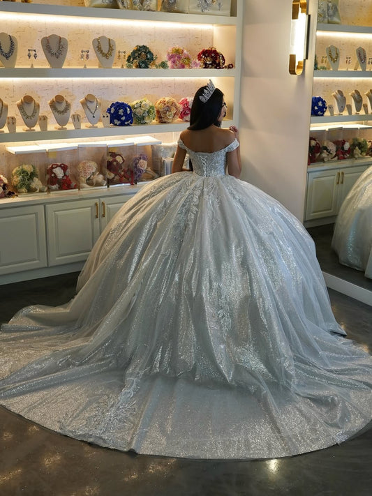 Princess Quinceanera Dresses Off Shoulder Glittery Tulle Appliques Prom Gowns HE505