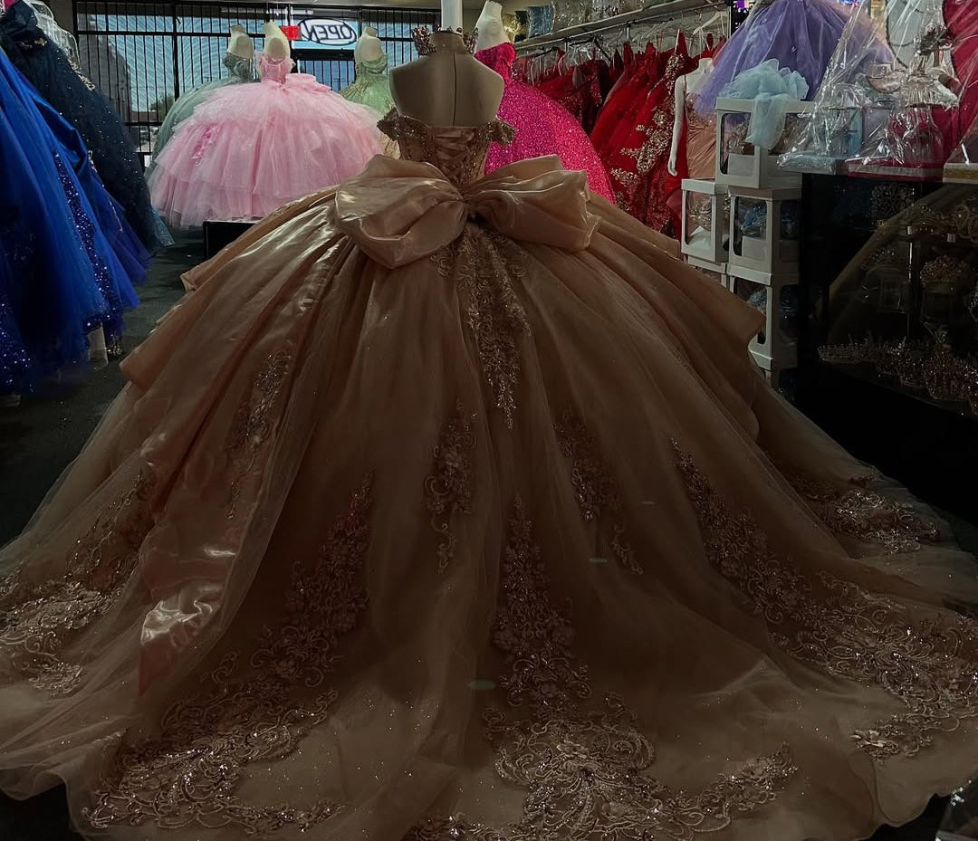 Champagne Ball Gown Tulle Lace Appliqued Glittery Quinceanera Dresses HE809