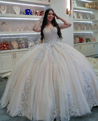 Off Shoulder Ball Gown Tulle Lace Appliqued Sweet 16 Quinceanera Dresses HE689