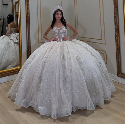 Vestidos de quinceañera con hombros descubiertos, tul princesa, apliques, vestidos de quinceañera HE530
