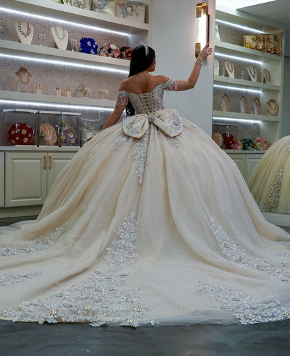 Off Shoulder Ball Gown Tulle Lace Appliqued Sweet 16 Quinceanera Dresses HE689
