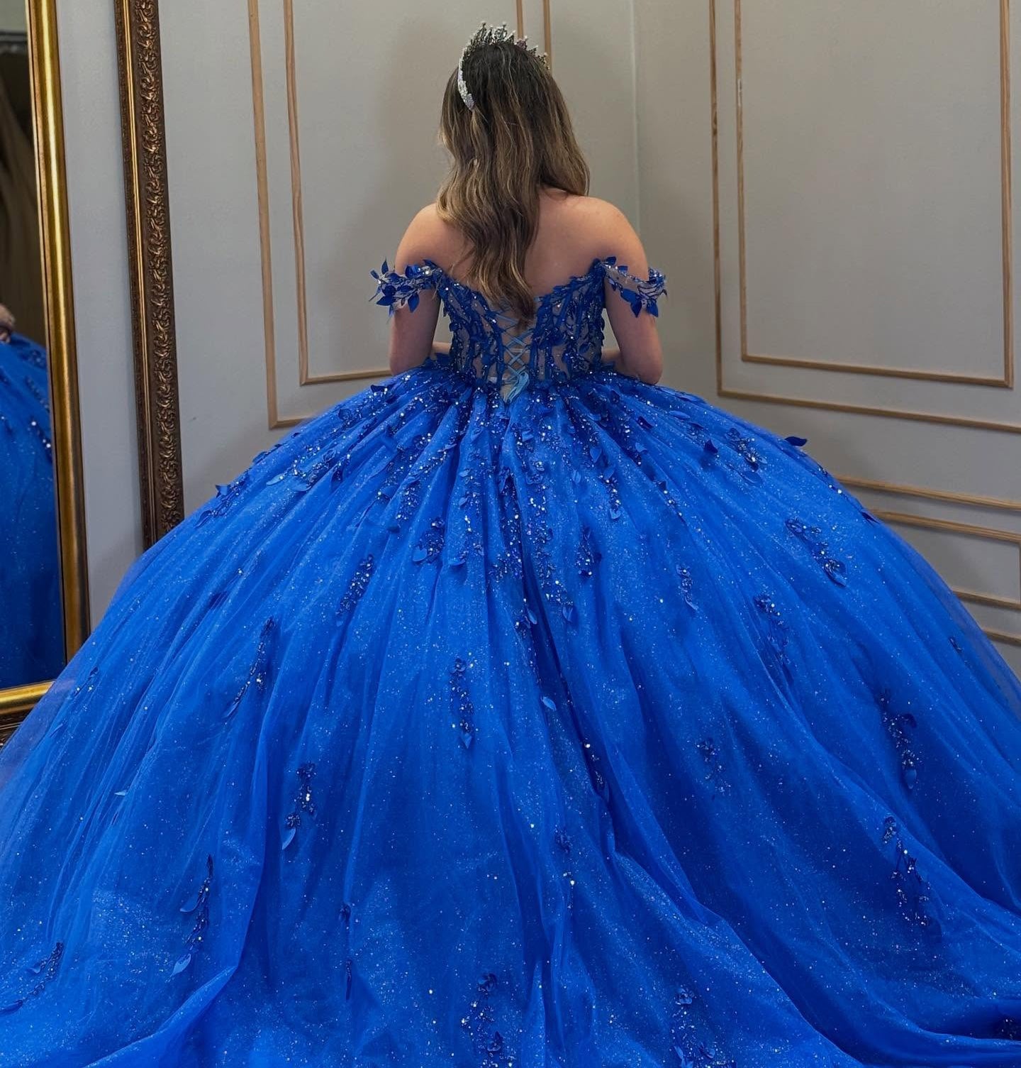 Off Shoulder Corset Tulle 3d Flowers Royal Quinceanera Dresses for Sweet 16 Birthday HE910