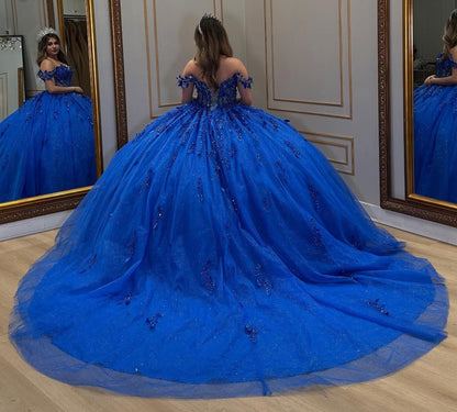 Off Shoulder Corset Tulle 3d Flowers Royal Quinceanera Dresses for Sweet 16 Birthday HE910