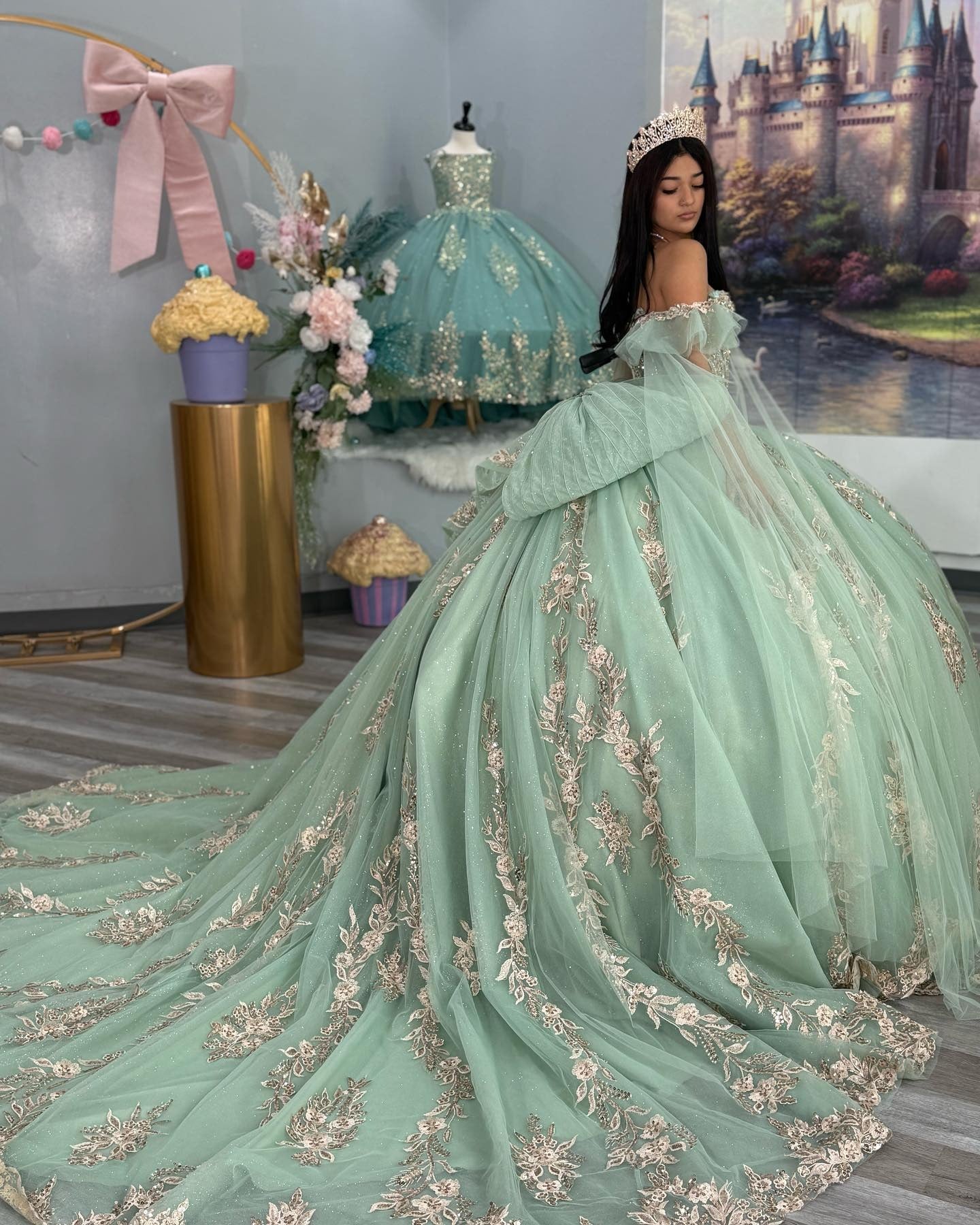 Princess Ball Gown Off Shoulder Tulle Appliqued Quinceanera Dresses for Teens HE891