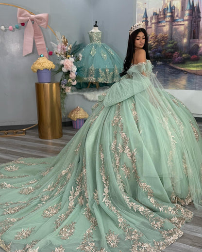 Princess Ball Gown Off Shoulder Tulle Appliqued Quinceanera Dresses for Teens HE891