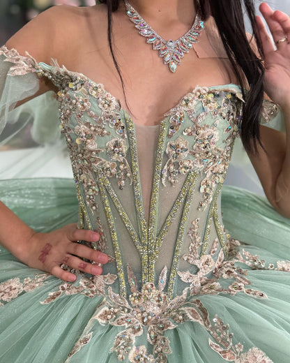 Princess Ball Gown Off Shoulder Tulle Appliqued Quinceanera Dresses for Teens HE891