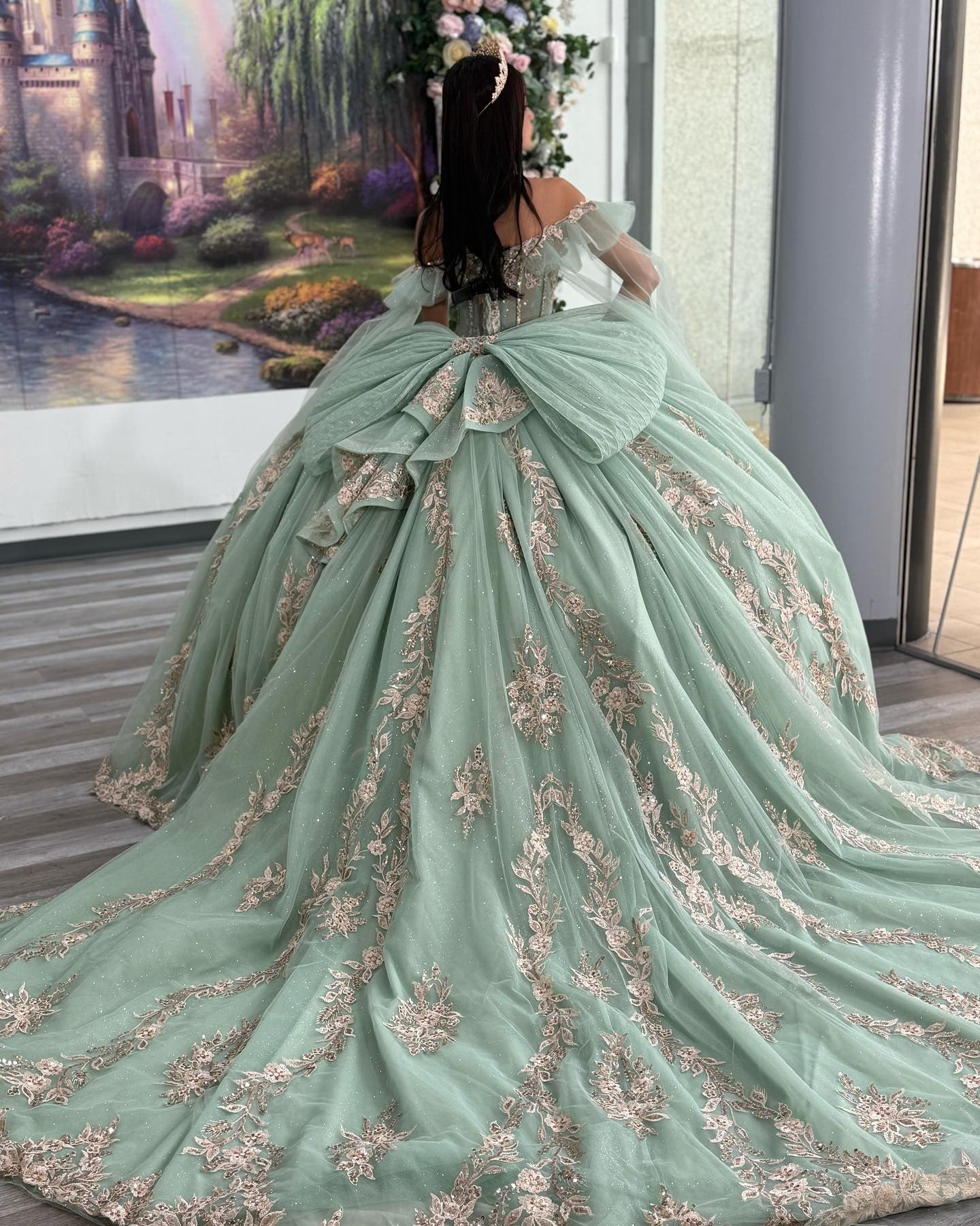 Princess Ball Gown Off Shoulder Tulle Appliqued Quinceanera Dresses for Teens HE891