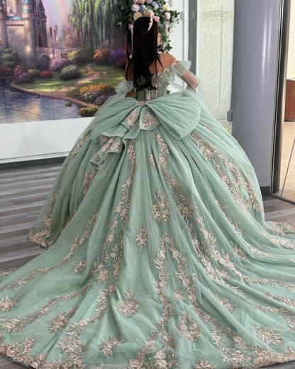 Princess Ball Gown Off Shoulder Tulle Appliqued Quinceanera Dresses for Teens HE891
