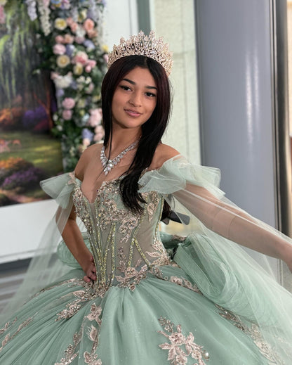 Princess Ball Gown Off Shoulder Tulle Appliqued Quinceanera Dresses for Teens HE891