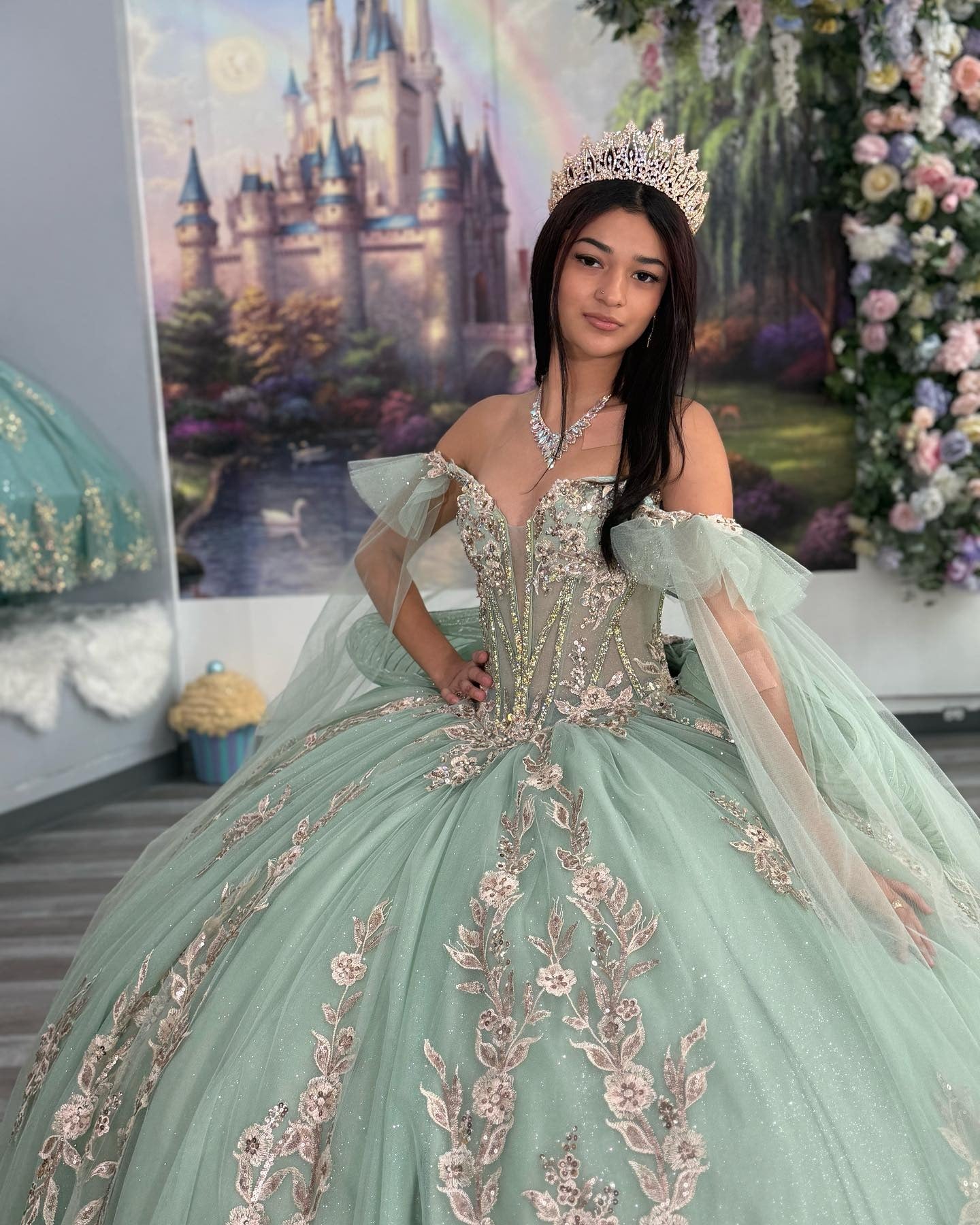 Princess Ball Gown Off Shoulder Tulle Appliqued Quinceanera Dresses for Teens HE891