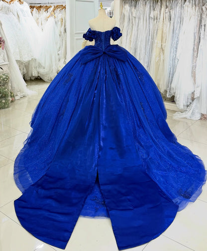 Glittery Tulle Appliqued Corset Princess Quinceanera Dresses for Sweet 16 HE969