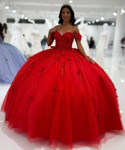 Princess Ball Gown Tulle Appliqued Quinceanera Dresses Sweet 16 Birthday Party Gowns HE1065