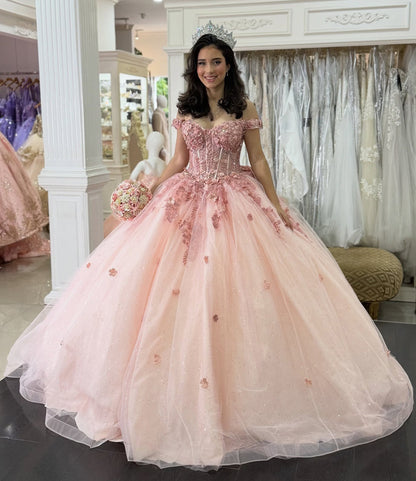 Princess Ball Gown Tulle Appliqued Corset Quinceanera Dresses for Sweet 16 Party HE1048