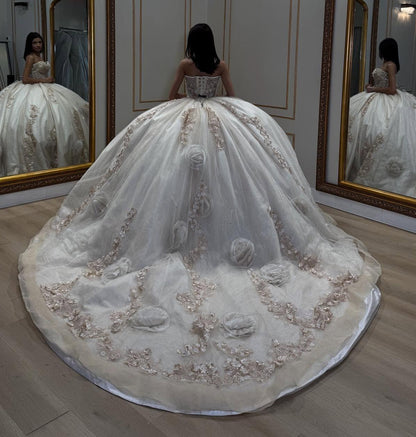 Ball Gown Sweetheart Tulle Appliqued Quinceanera Dresses Sweet 16 Birthday Party Gowns HE1066