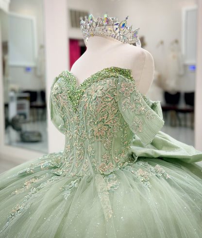 Gorgeous Ball Gown Green Quinceanera Dresses Sweet 16 Tulle Appliqued Birthday Party Gowns HE1070