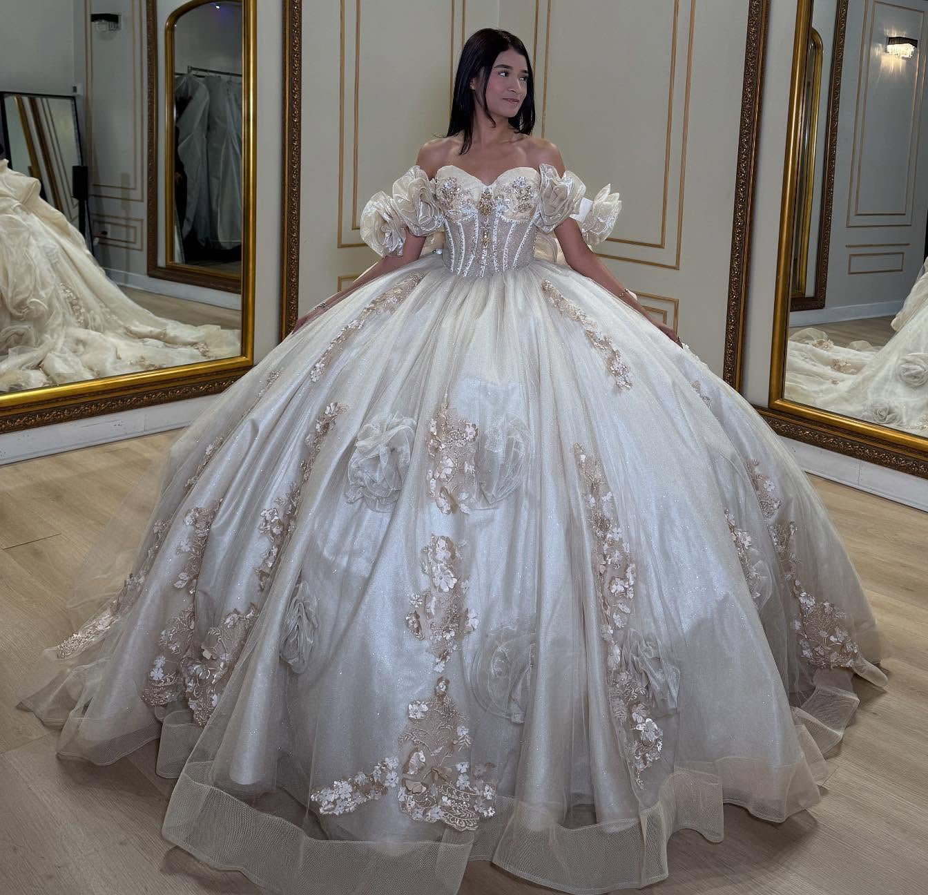 Ball Gown Sweetheart Tulle Appliqued Quinceanera Dresses Sweet 16 Birthday Party Gowns HE1066