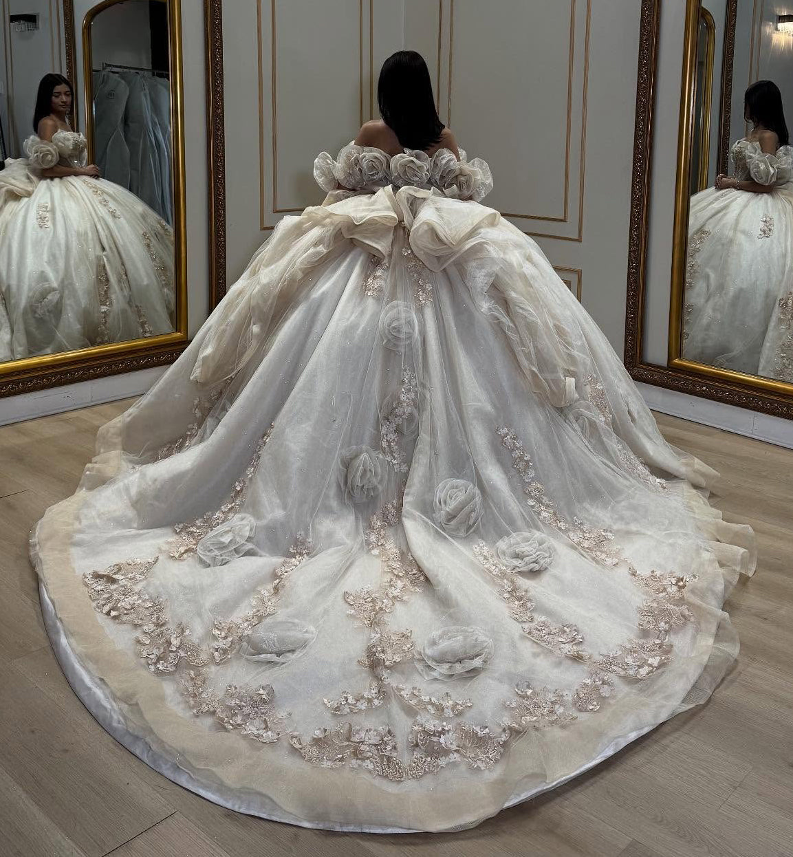 Ball Gown Sweetheart Tulle Appliqued Quinceanera Dresses Sweet 16 Birthday Party Gowns HE1066