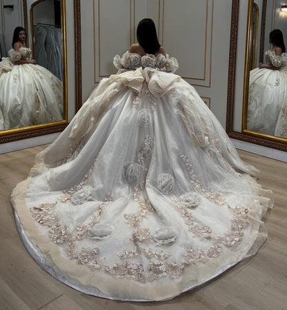 Ball Gown Sweetheart Tulle Appliqued Quinceanera Dresses Sweet 16 Birthday Party Gowns HE1066