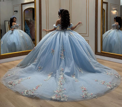 Princess Sweet 16 Quinceanera Dresses Tulle Appliqued Ball Gown Birthday Party Gowns HE1073