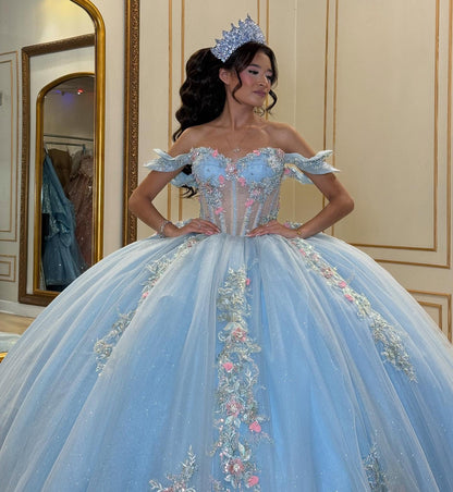 Princess Sweet 16 Quinceanera Dresses Tulle Appliqued Ball Gown Birthday Party Gowns HE1073