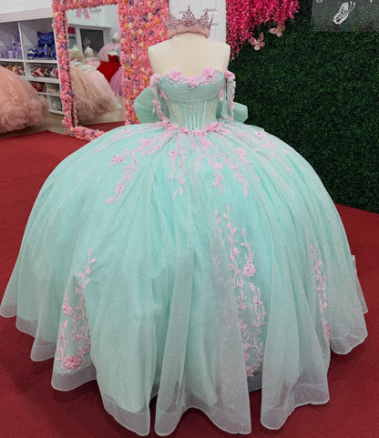 Ball Gown Lace Appliqued Princess Tulle Quinceanera Dresses for Sweet 15 HE1552