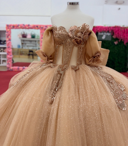 Glittery Tulle Lace Appliqued Champagne Quinceanera Dresses Sweet 16 Party Gown HE1556