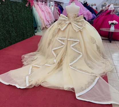 Princess Sweetheart Champagne Tulle Lace Appliqued Sweet 16 Quinceanera Dress HE1551
