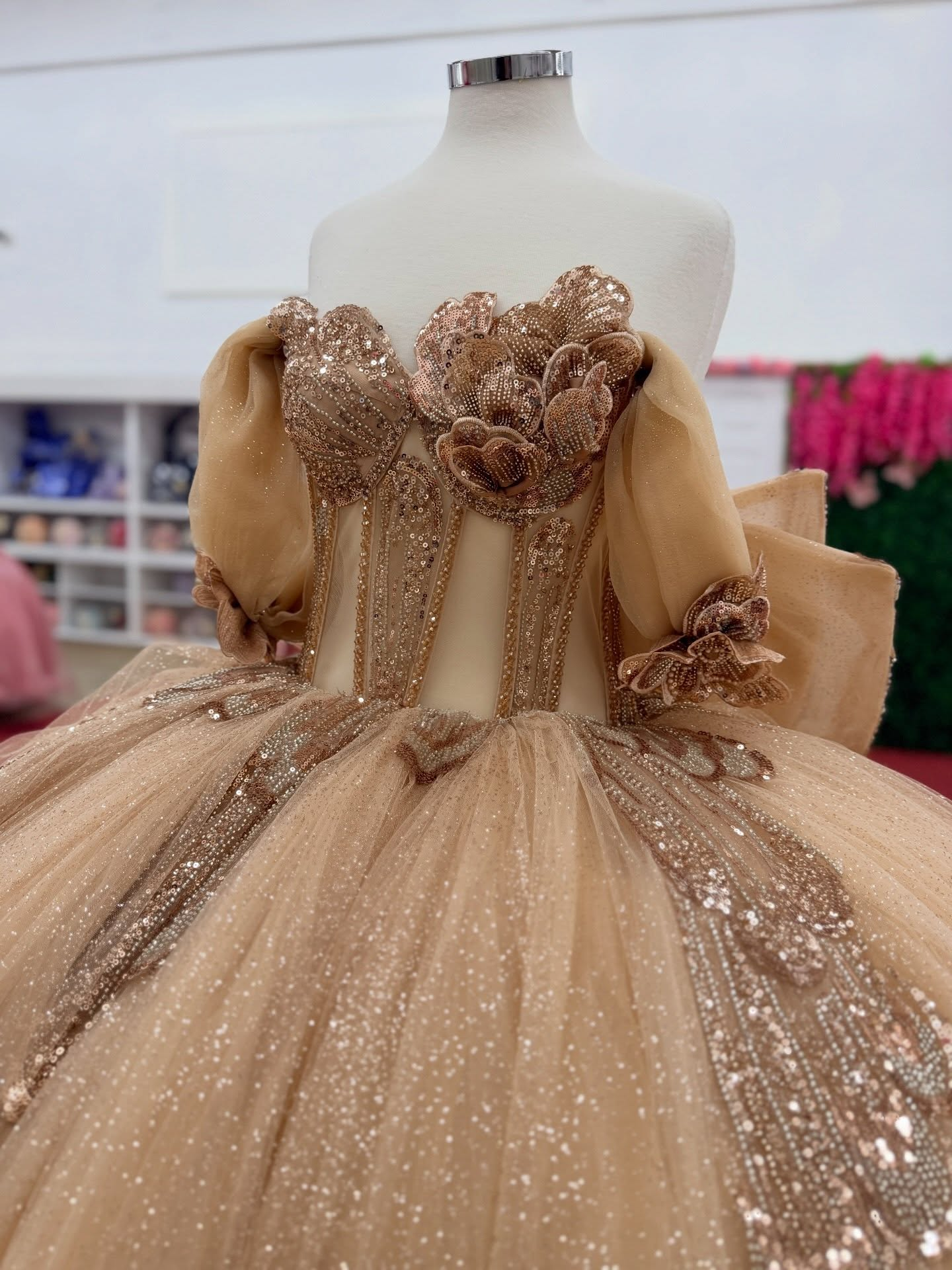 Glittery Tulle Lace Appliqued Champagne Quinceanera Dresses Sweet 16 Party Gown HE1556