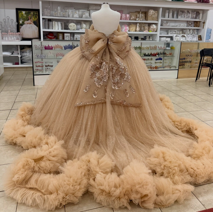 Glittery Tulle Lace Appliqued Champagne Quinceanera Dresses Sweet 16 Party Gown HE1556