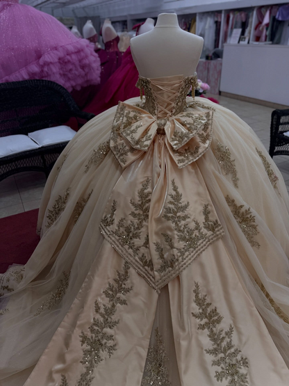 Princess Champagne Tulle Appliqued Beaded Sweet 15 Quinceanera Dresses HE1563