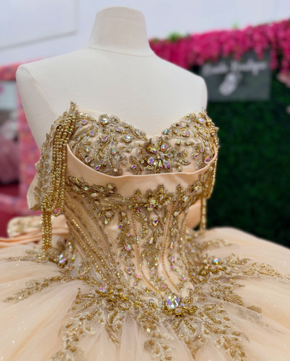 Princess Champagne Tulle Appliqued Beaded Sweet 15 Quinceanera Dresses HE1563