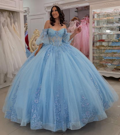 Vestidos de quinceañera con hombros descubiertos, tul princesa, apliques, vestidos de quinceañera HE530