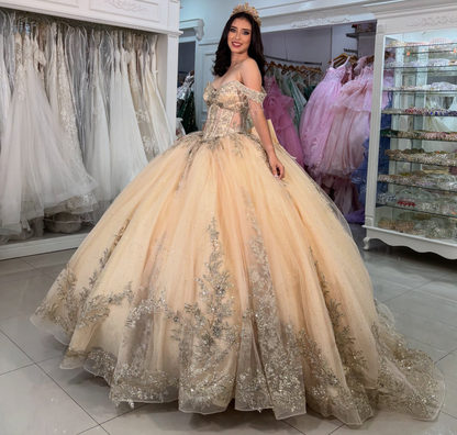 Vestidos de quinceañera con hombros descubiertos, tul princesa, apliques, vestidos de quinceañera HE530