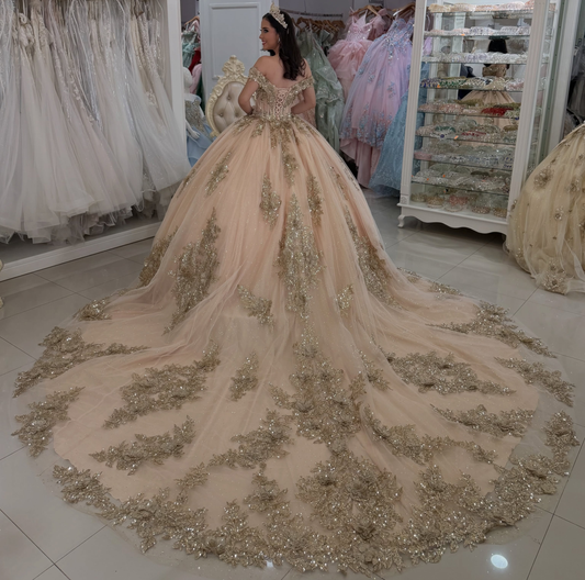 Vestidos de quinceañera con hombros descubiertos, tul princesa, apliques, vestidos de quinceañera HE530