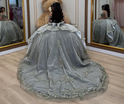 Princess Ball Gown Glittery Quinceanera Dresses Tulle Appliqued Party Dresses HE1917