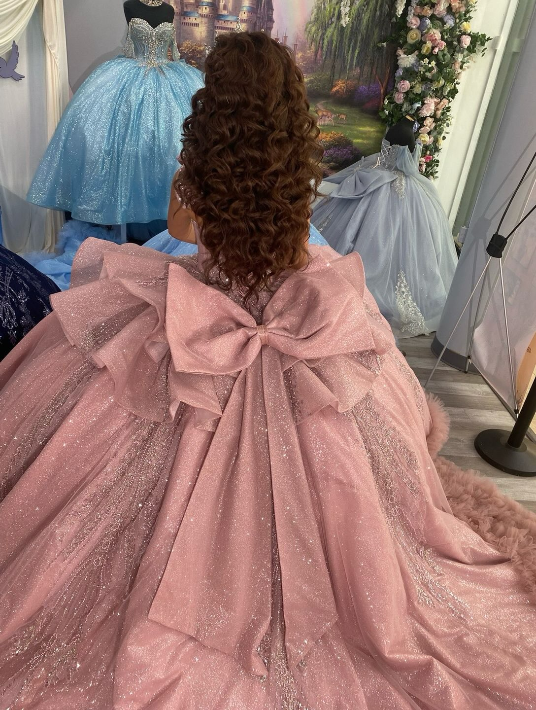 Vestidos de quinceañera con hombros descubiertos, tul princesa, apliques, vestidos de quinceañera HE530