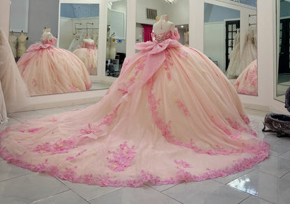 Princess Ball Gown Pink Quinceanera Dresses Tulle Appliqued Sweet 16 Party Gowns HE1169