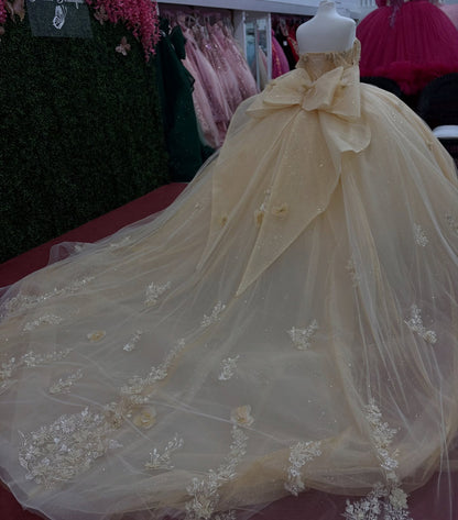 Off Shoulder Tulle Lace Appliqued Quinceanera Dresses Champagne Sweet 15 Party Gown HE1213