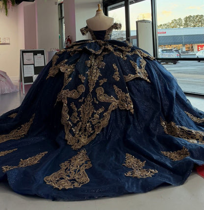 Ball Gown Princess Lace Appliqued Quinceanera Dresses Sweet 16 Birthday Photoshoot Gown HE1306