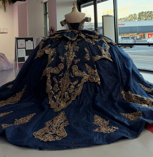 Ball Gown Princess Lace Appliqued Quinceanera Dresses Sweet 16 Birthday Photoshoot Gown HE1306