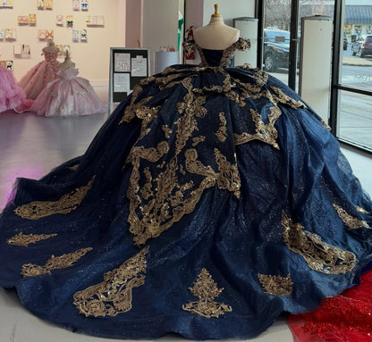 Ball Gown Princess Lace Appliqued Quinceanera Dresses Sweet 16 Birthday Photoshoot Gown HE1306