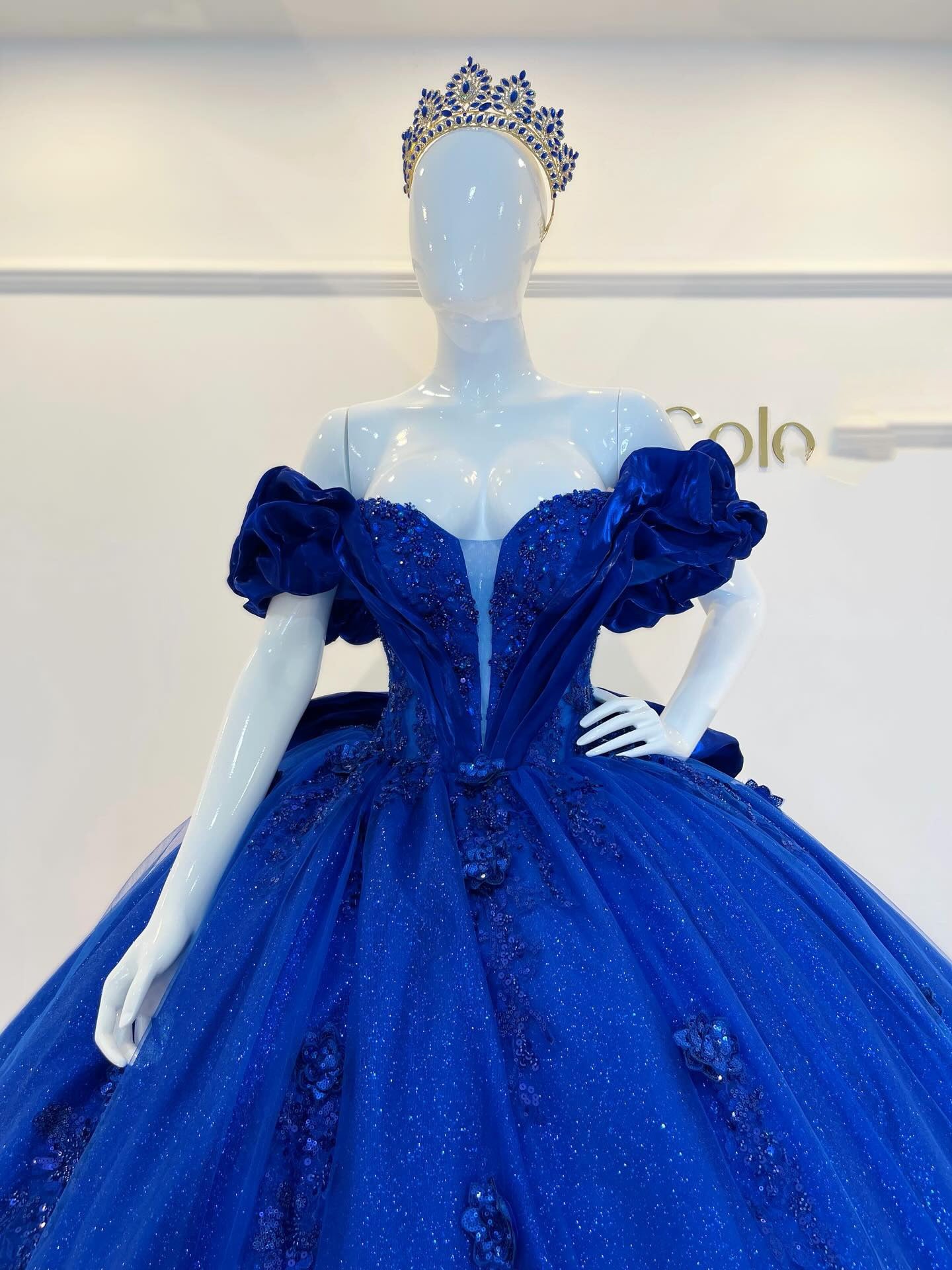 Ball Gown Tulle Lace Quinceanera Dresses Princess Sweet 15 Birthday Party Gowns HE1385