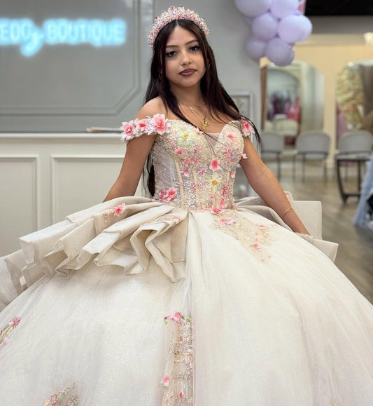 Princess Sweet 15 Quinceanera Dresses Tulle Appliquedd Birthday Party Gowns HE1289