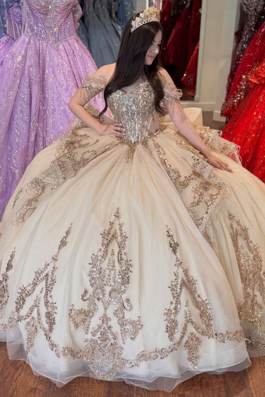 Gorgeous Tulle Appliqued Champagne Quinceanera Dresses Sweet 15 Lace Party Gown HE1405