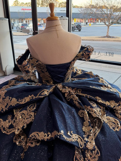 Ball Gown Princess Lace Appliqued Quinceanera Dresses Sweet 16 Birthday Photoshoot Gown HE1306