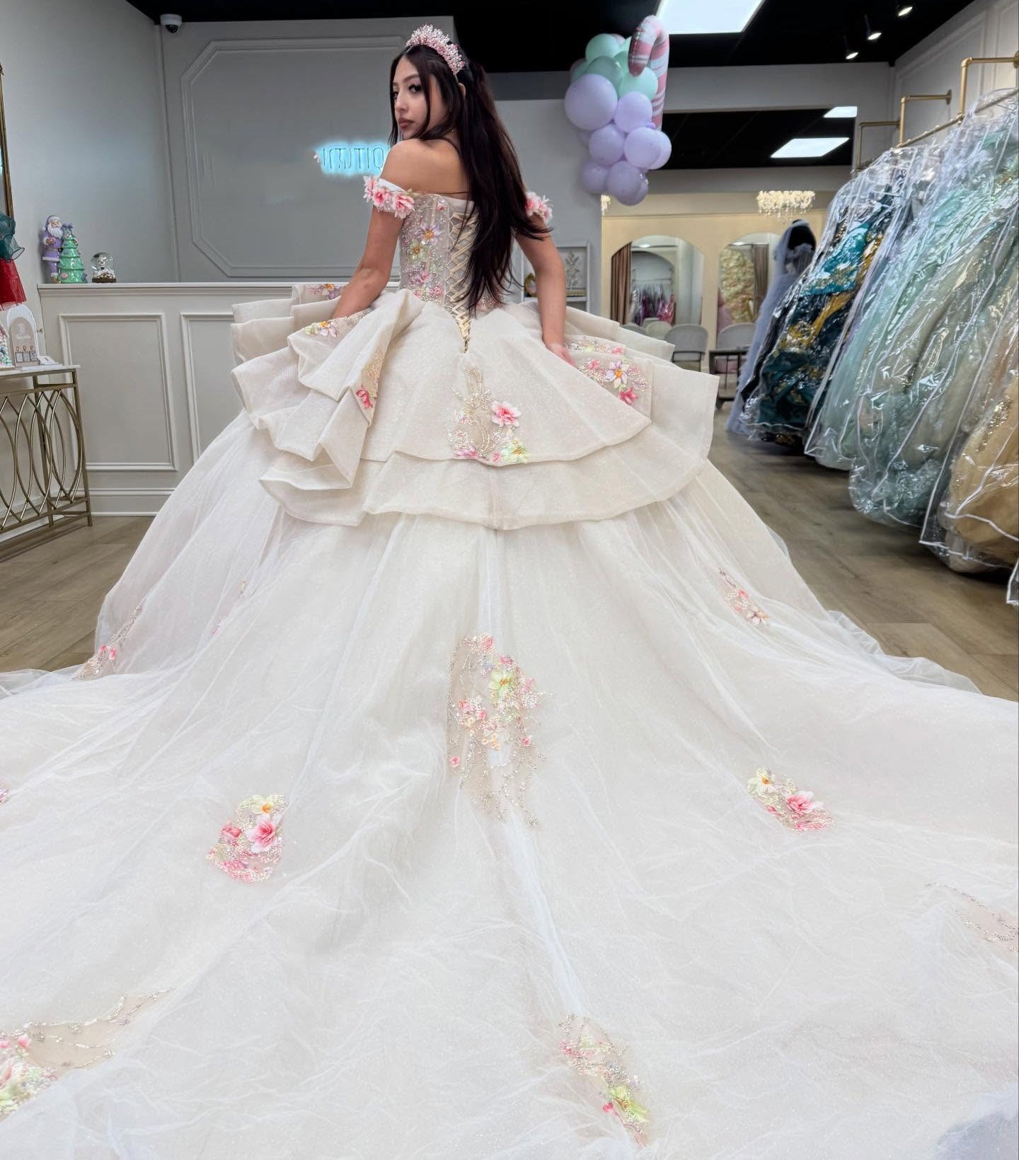 Princess Sweet 15 Quinceanera Dresses Tulle Appliquedd Birthday Party Gowns HE1289