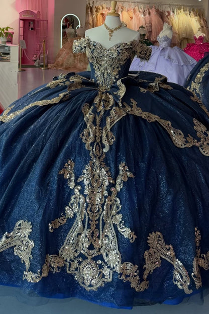 Ball Gown Princess Lace Appliqued Quinceanera Dresses Sweet 16 Birthday Photoshoot Gown HE1306