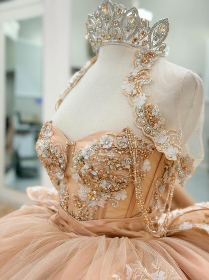 Gorgeous Ball Gown Princess Quinceanera Dresses Sweet 15 Lace Appliqued Party Gowns HE1256